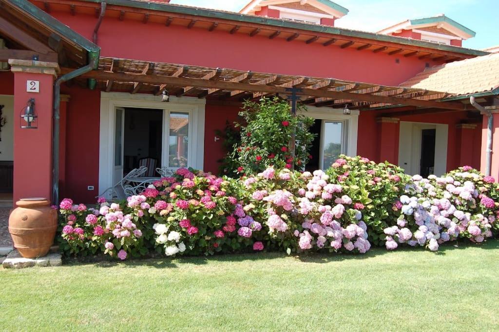 La Pecora Ladra Appartamenti Montalto di Castro Extérieur photo