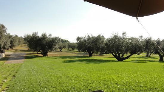 La Pecora Ladra Appartamenti Montalto di Castro Extérieur photo