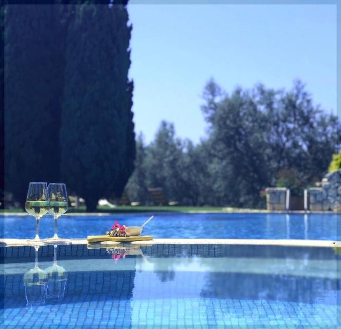 La Pecora Ladra Appartamenti Montalto di Castro Extérieur photo